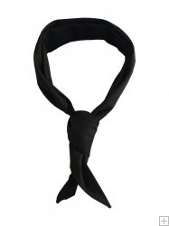Black Neckerchief