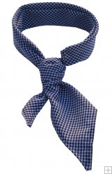 Checked Neckerchief